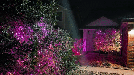 Valentine Heartbeat Effect